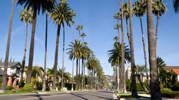 Encuentra vuelos baratos desde Bolivia $[,, preposition:'to ']$[,, article:'to ']$[,, place:'to']