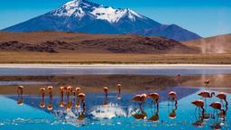 Encuentra vuelos baratos desde Bolivia a Uyuni