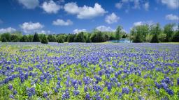 Hoteles en Texas
