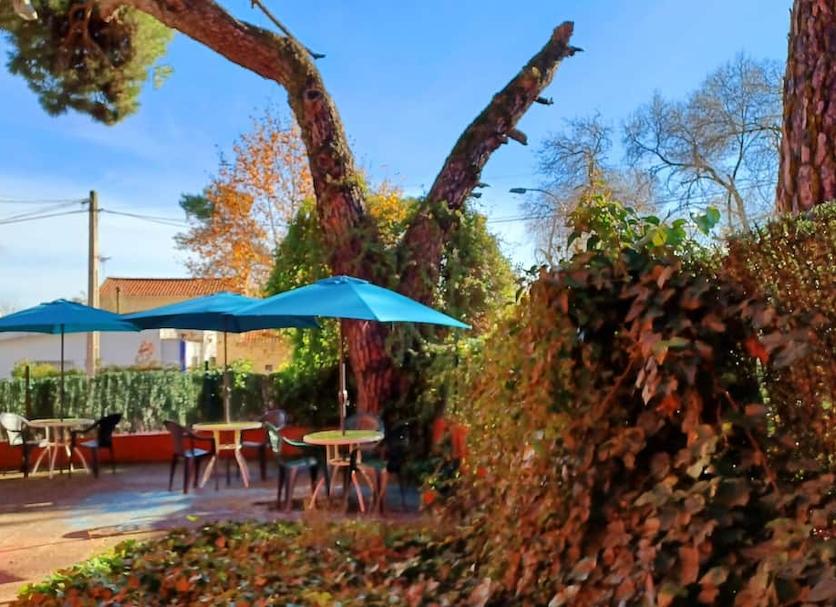 Patio Foto
