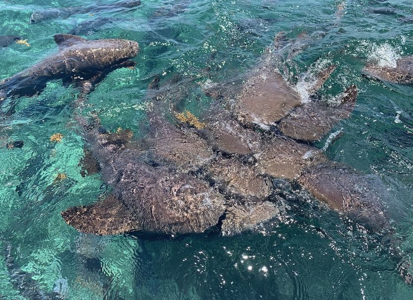 Servicio del hotel Foto