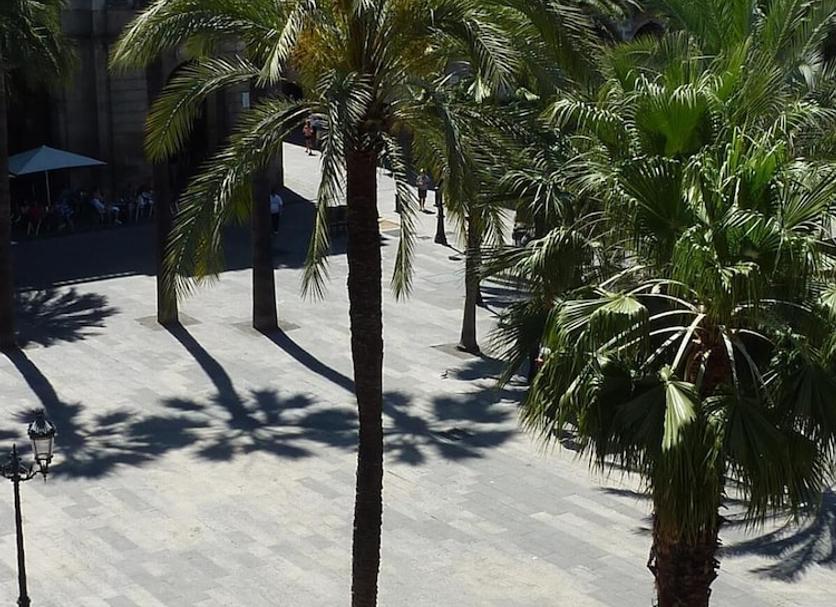 Vista del exterior Foto