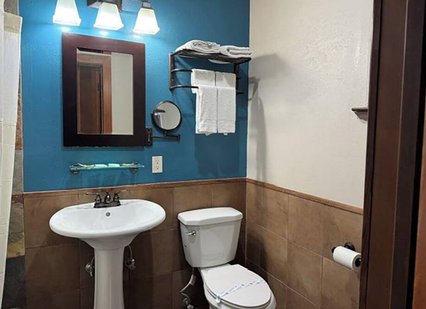 Baño Foto