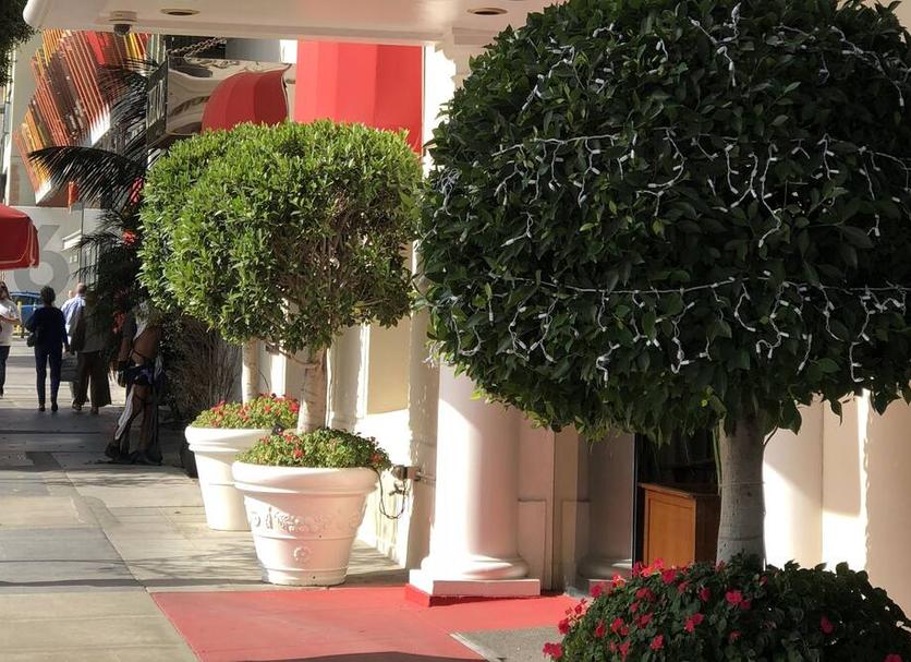 Vista del exterior Foto